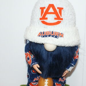 Football Auburn Tigers 3