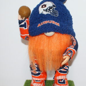 Football Auburn Tigers 4