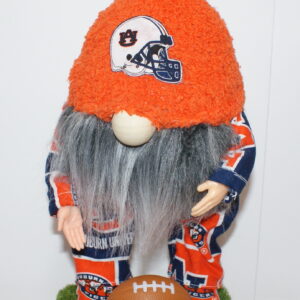 Football Auburn Tigers 5