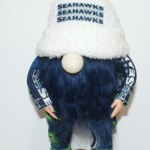 Football Seattle Seahawks 49