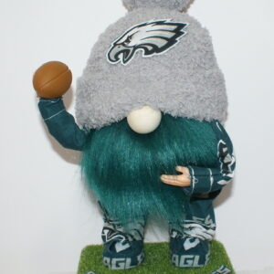 Football Philadelphia Eagles 9
