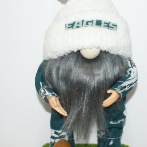 Football Philadelphia Eagles 10