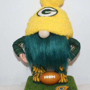 Football Green Bay Packers 11