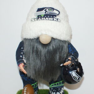 Football Seahawks 58