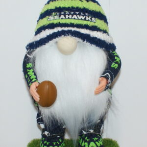 Football Seahawks 61