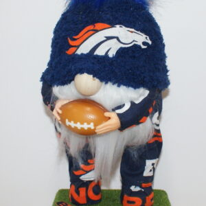 Football Denver Broncos 13