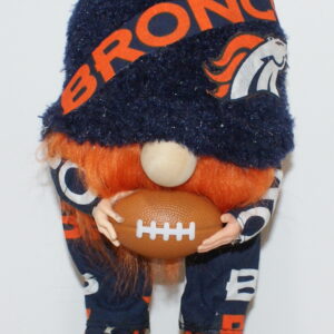 Football Denver Broncos 6