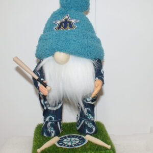 Seattle Mariners 25