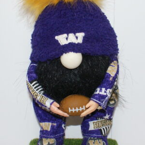 Football UW Huskies 28