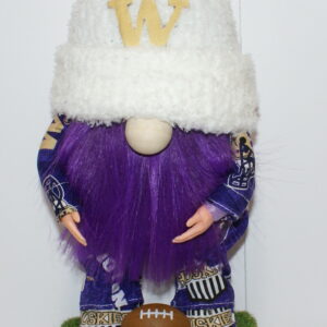 Football UW Huskies 29