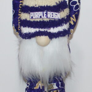 Football UW Huskies 30