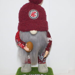 Football WSU Cougars 17