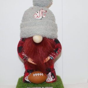 Football WSU Cougars 18