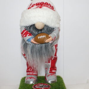 Football WSU Cougars 19