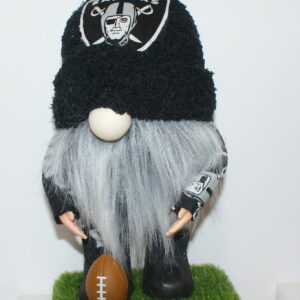 Football LV Raiders 10