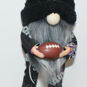 Football LV Raiders 11