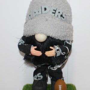 Football LV Raiders 13