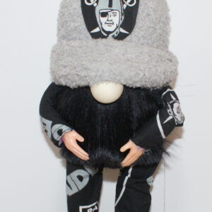 Football LV Raiders 14