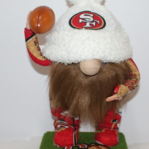 Football San Francisco 49ers 11