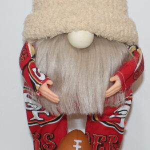 Football San Francisco 49ers 12