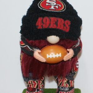 Football San Francisco 49ers 13