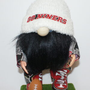 Football San Francisco 49ers 14