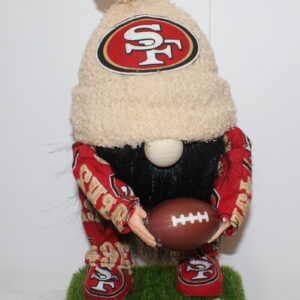 Football San Francisco 49ers 15