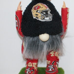 Football San Francisco 49ers 16