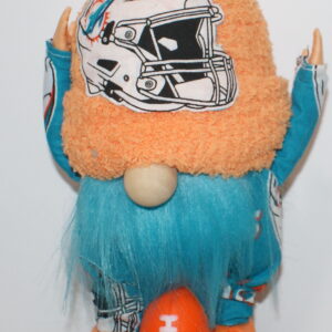 Football Miami Dolphins 6