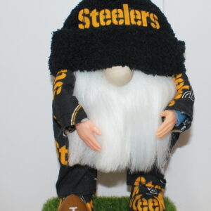 Football Pittsburg Steelers 8
