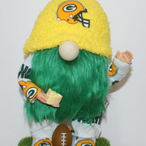 Football Green Bay Packers 14