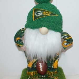 Football Green Bay Packers 15