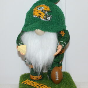 Football Green Bay Packers 16