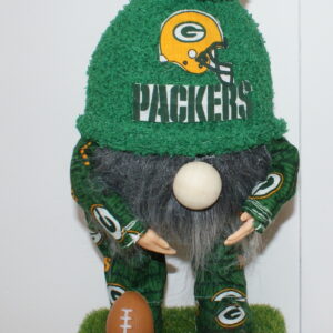 Football Green Bay Packers 17