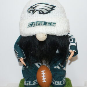 Football Philadelphia Eagles 11