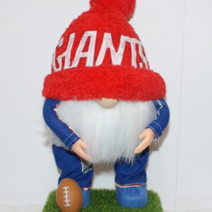Football New York Giants 1