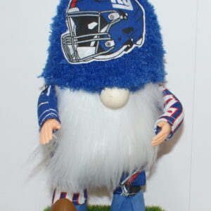 Football New York Giants 2