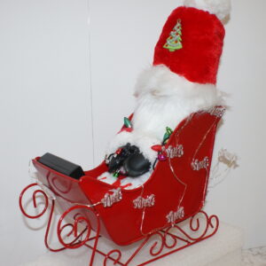 Holiday Gnomes Christmas Santa in Sled 1