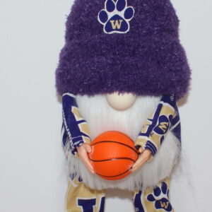 Basketball UW Huskies 2