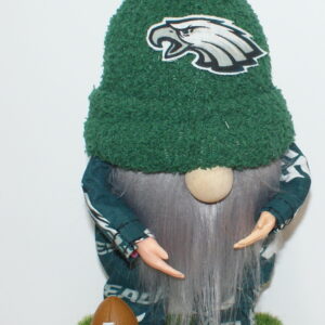 Football Philadelphia Eagles 12