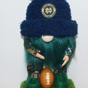 Football Notre Dame 1