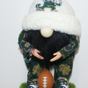 Football Notre Dame 2