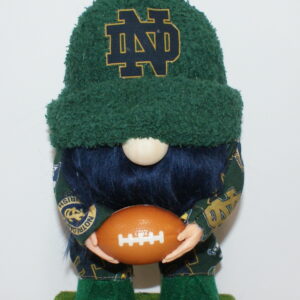 Football Notre Dame 3