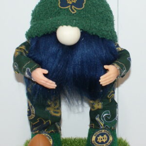 Football Notre Dame 5