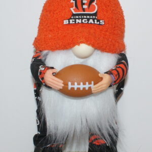 Football Cincinnati Bengals 2