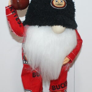 Football Ohio State Buckeyes 9