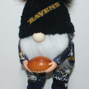 Football Baltimore Ravens 5