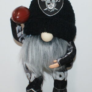 Football LV Raiders 15