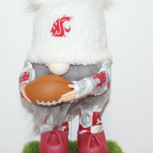 Football WSU Cougars 20