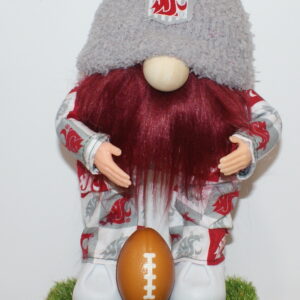 Football WSU Cougars 21